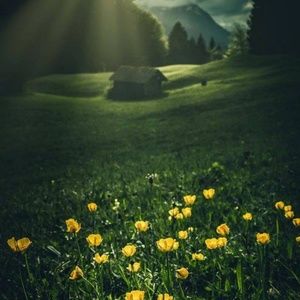 Meet your Posher, Hazel